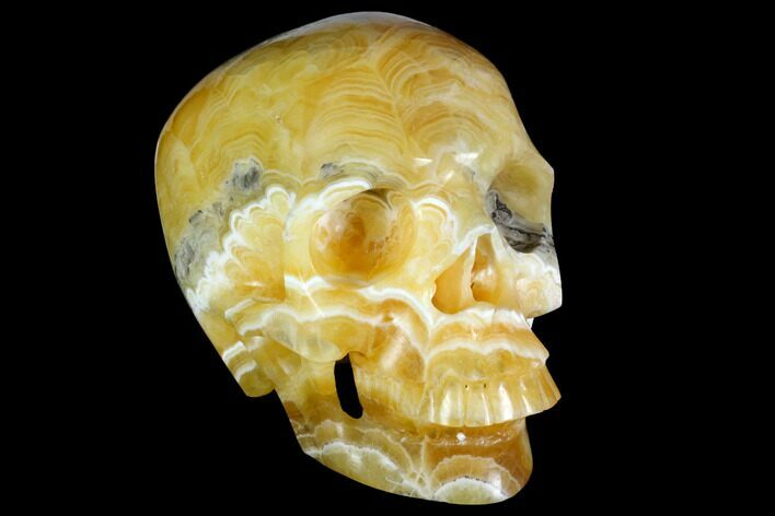 Realistic, Polished, Banded Orange Calcite Skull - Fluorescent! #150925